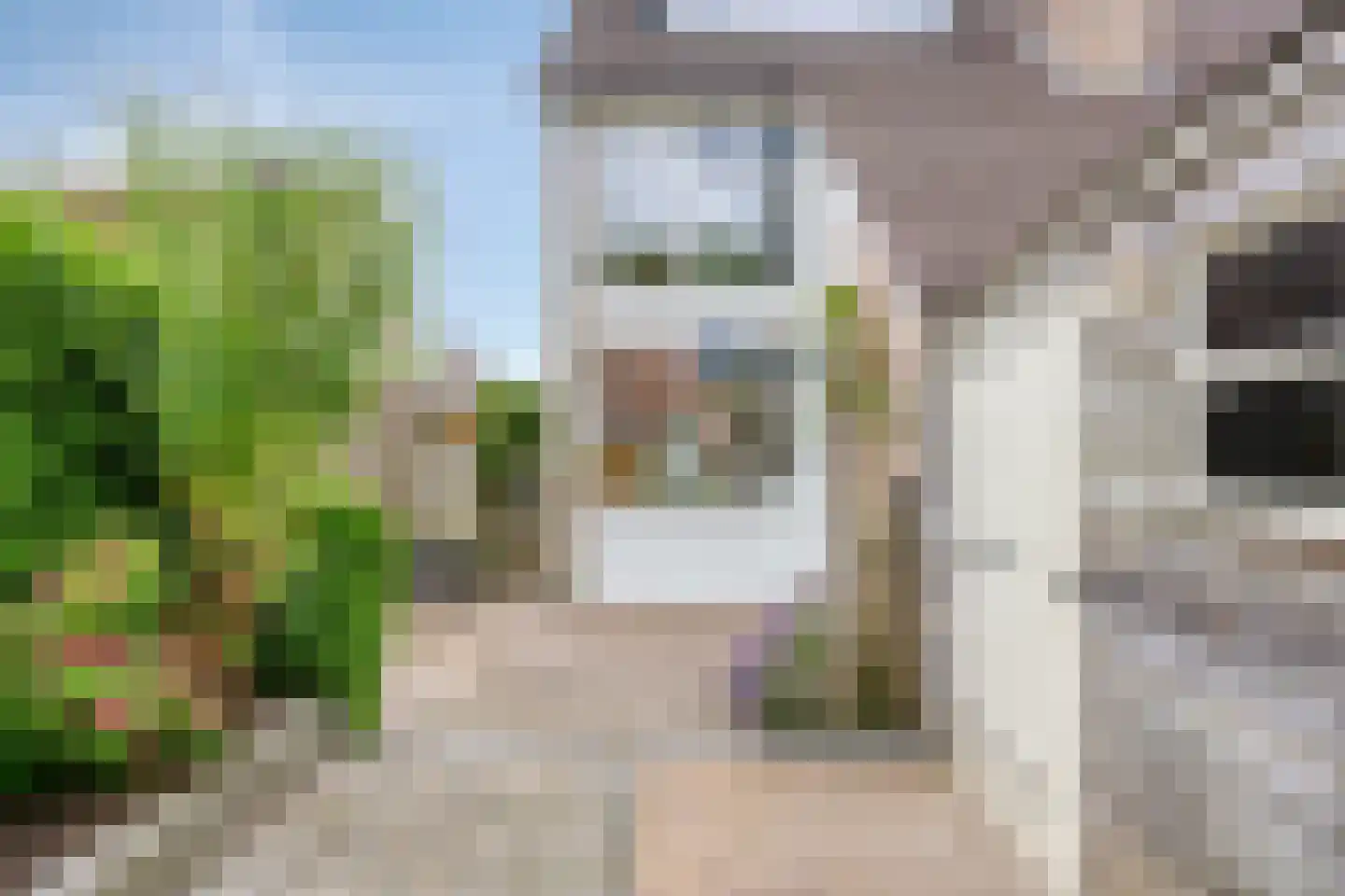 de Akkers 16 Kommerzijl thumbnail 32