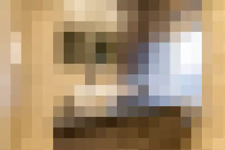 De Akkers 19 Diepenheim thumbnail 23