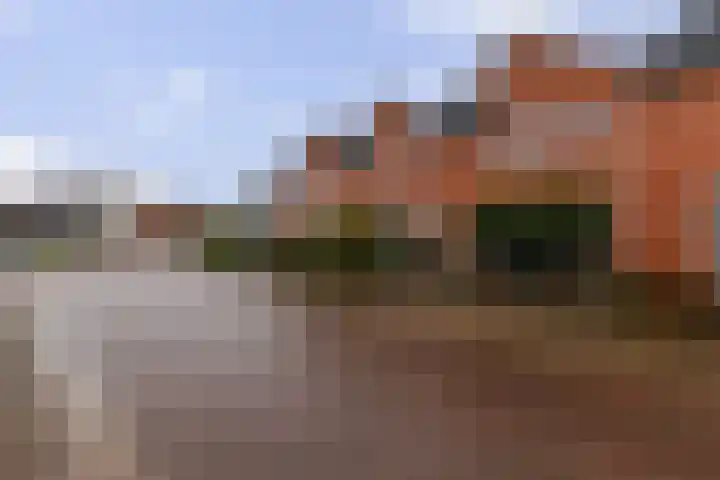De Akkers 19 Diepenheim thumbnail 31