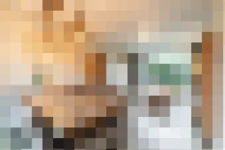 De Akkers 19 Diepenheim thumbnail 8