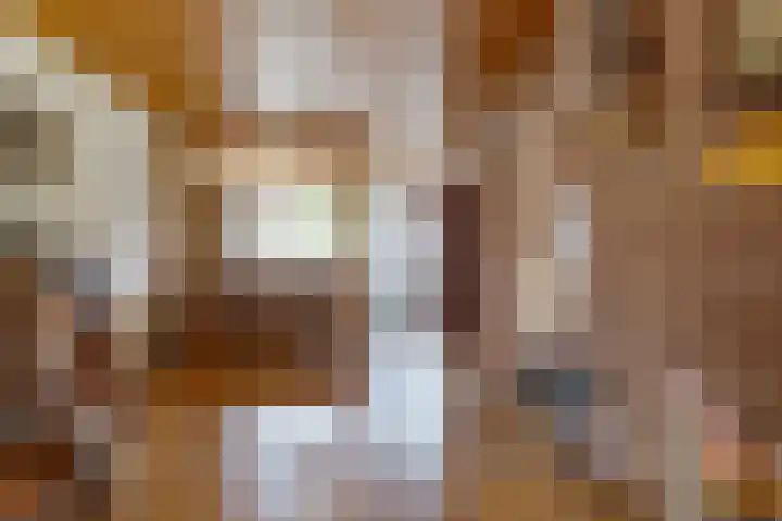 De Akkers 2 Westerbork thumbnail 10