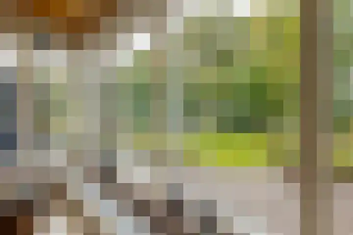 De Akkers 2 Westerbork thumbnail 16