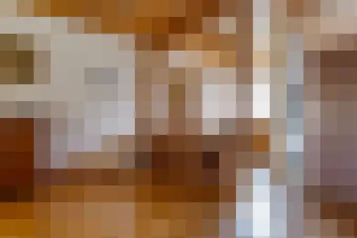 De Akkers 2 Westerbork thumbnail 17