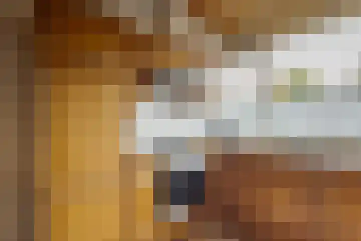 De Akkers 2 Westerbork thumbnail 20