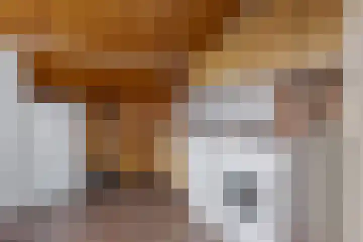 De Akkers 2 Westerbork thumbnail 26
