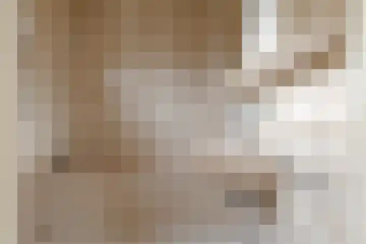 De Akkers 2 Westerbork thumbnail 30
