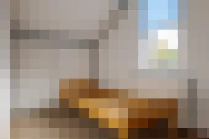 De Akkers 2 Westerbork thumbnail 33