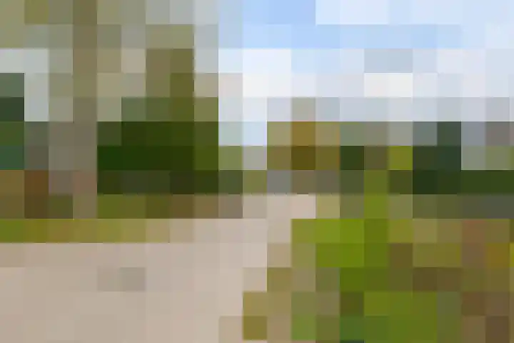 De Akkers 2 Westerbork thumbnail 4