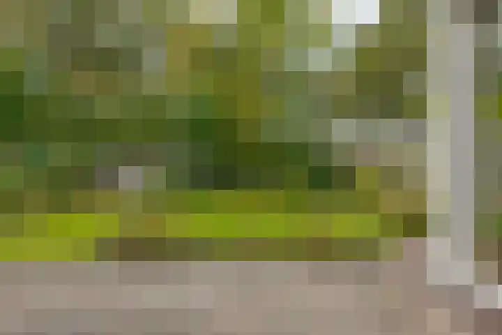 De Akkers 2 Westerbork thumbnail 43