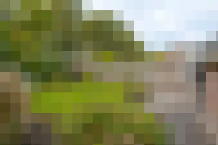 De Akkers 2 Westerbork thumbnail 45