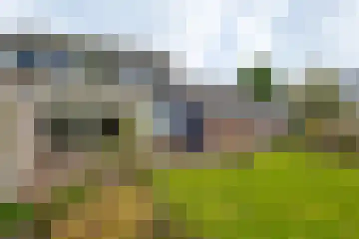 De Akkers 2 Westerbork thumbnail 46