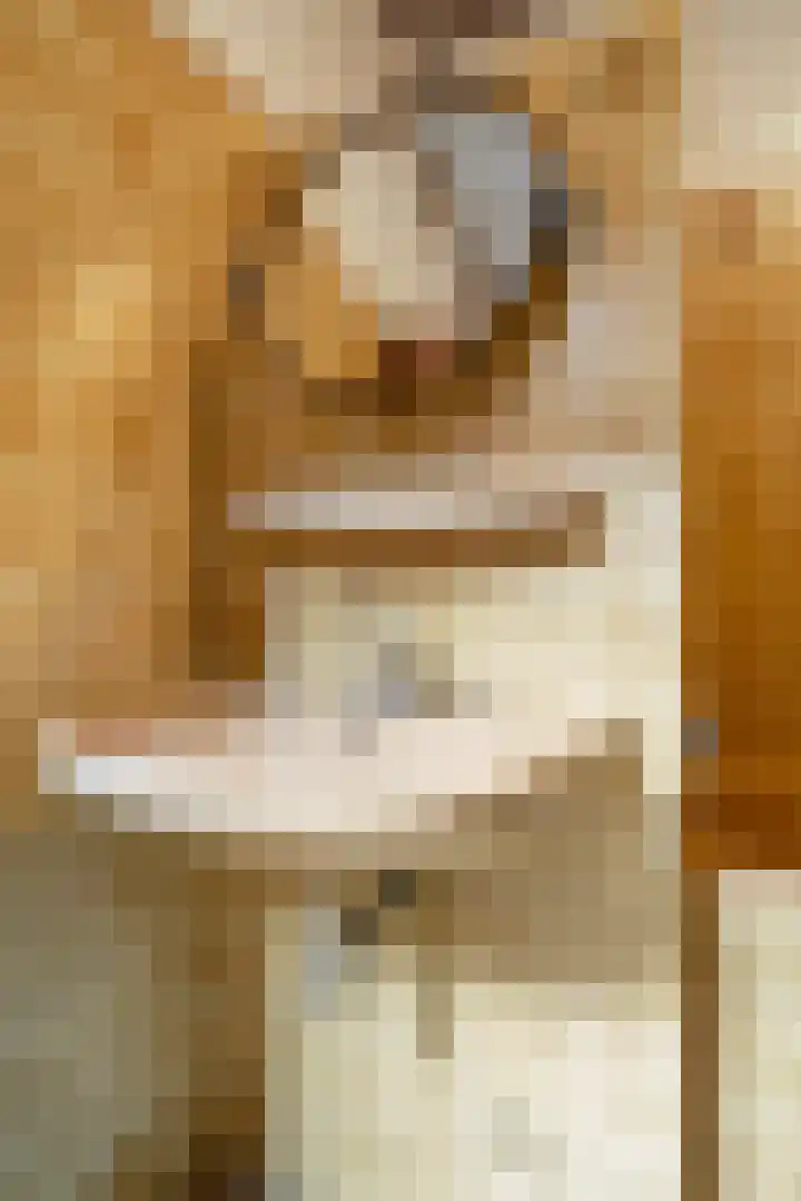 De Akkers 21 Muntendam thumbnail 23