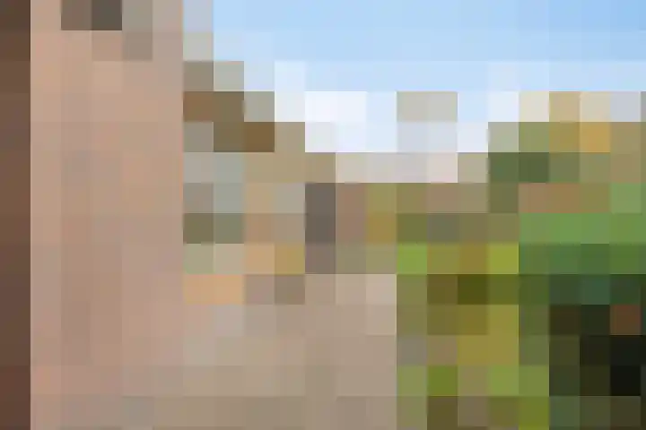 De Akkers 21 Muntendam thumbnail 36
