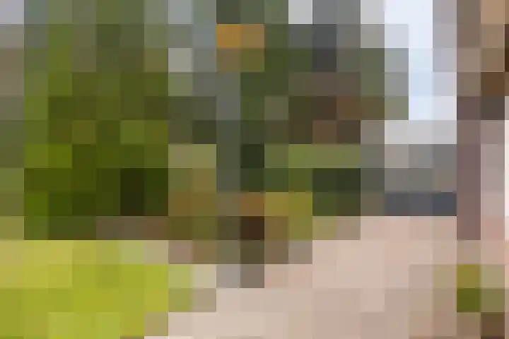 De Akkers 21 Muntendam thumbnail 37