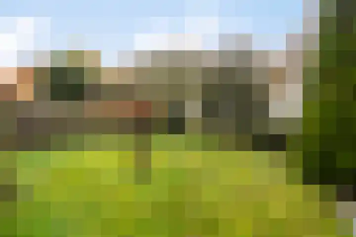 De Akkers 21 Muntendam thumbnail 38