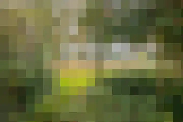 De Akkers 21 Muntendam thumbnail 39