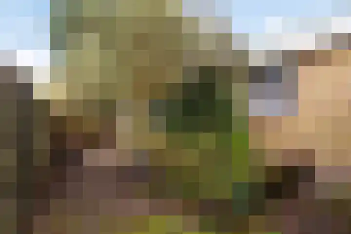De Akkers 21 Muntendam thumbnail 40