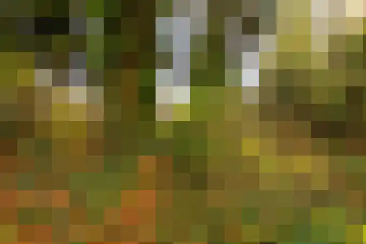 De Akkers 21 Muntendam thumbnail 41