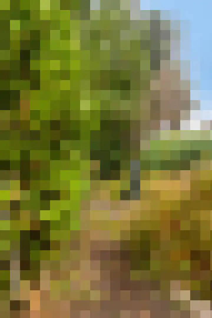 De Akkers 21 Muntendam thumbnail 42