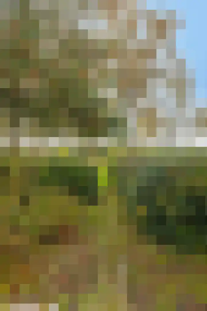 De Akkers 21 Muntendam thumbnail 43
