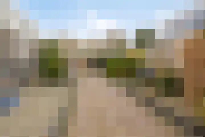 De Akkers 21 Muntendam thumbnail 5