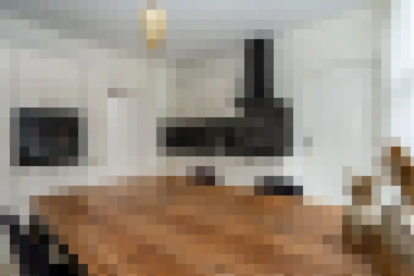 De Akkers 29 Muntendam thumbnail 14