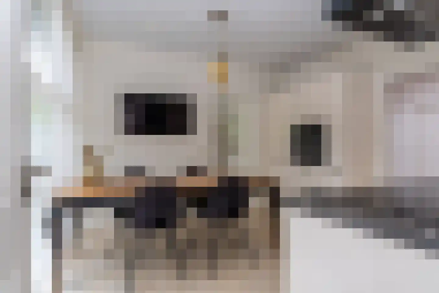 De Akkers 29 Muntendam thumbnail 15