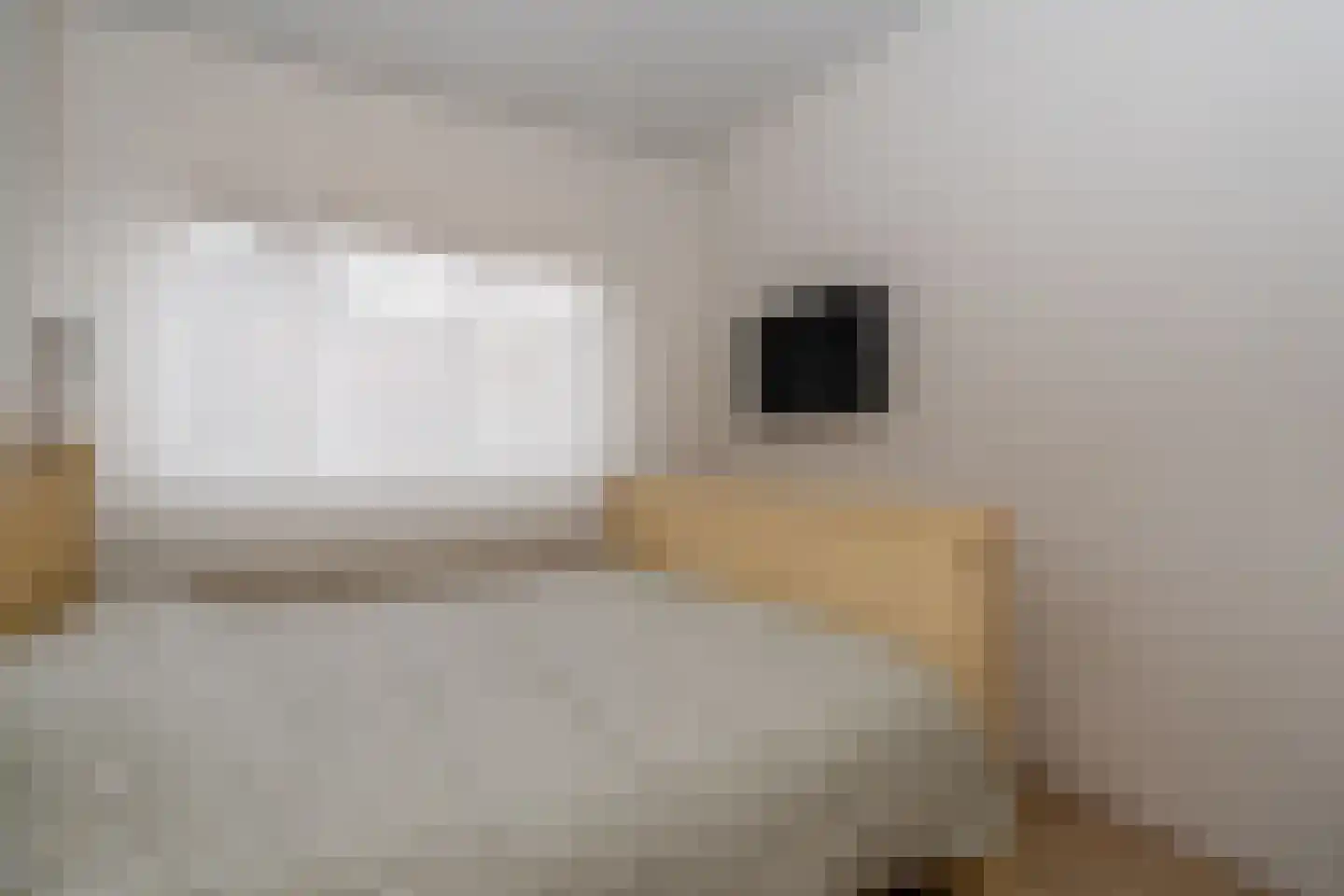 De Akkers 29 Muntendam thumbnail 23