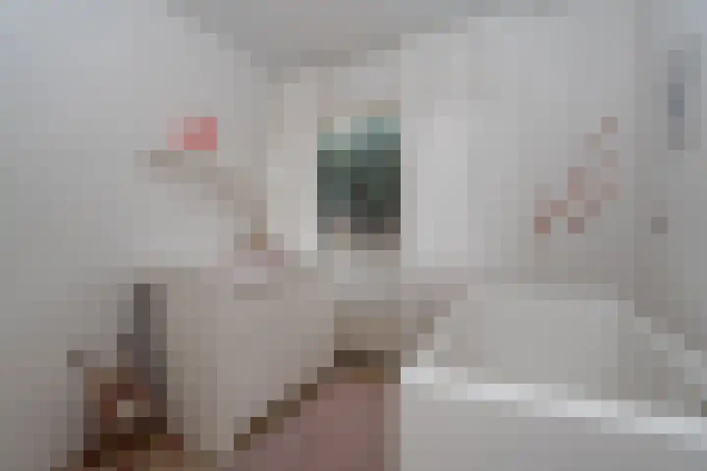 De Akkers 29 Muntendam thumbnail 28