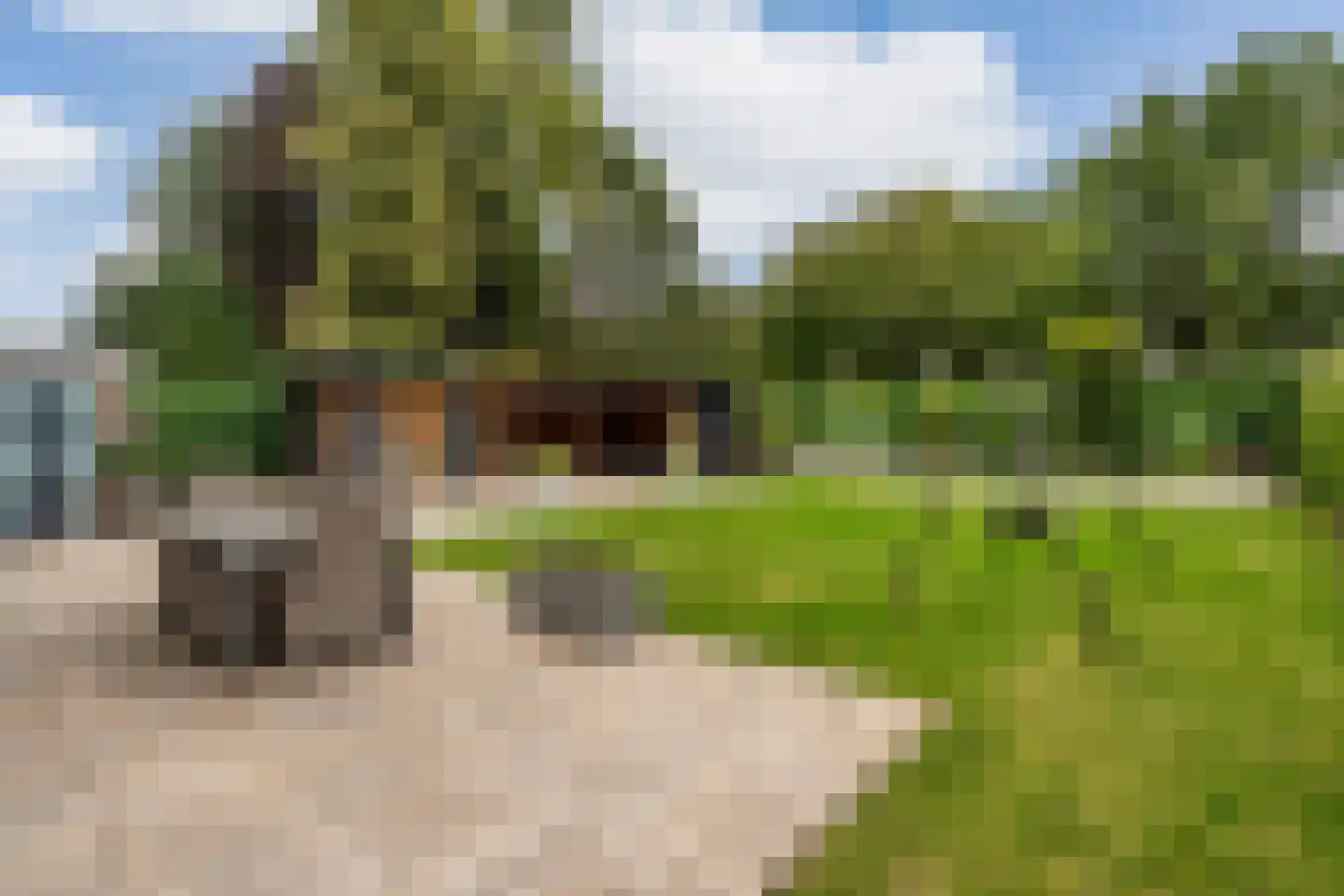 De Akkers 29 Muntendam thumbnail 34