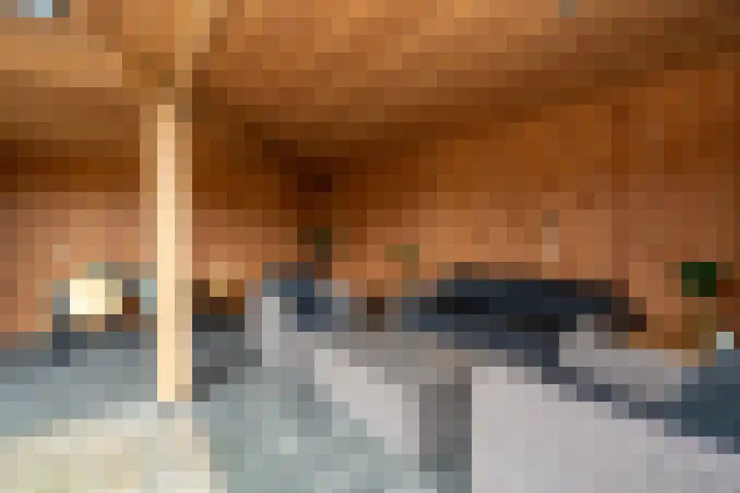 De Akkers 29 Muntendam thumbnail 40