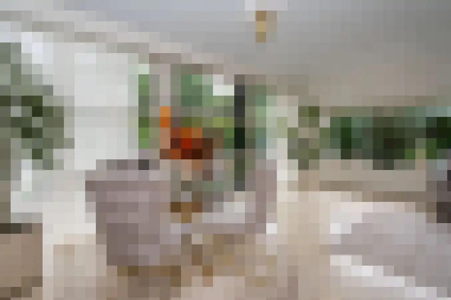 De Akkers 29 Muntendam thumbnail 8