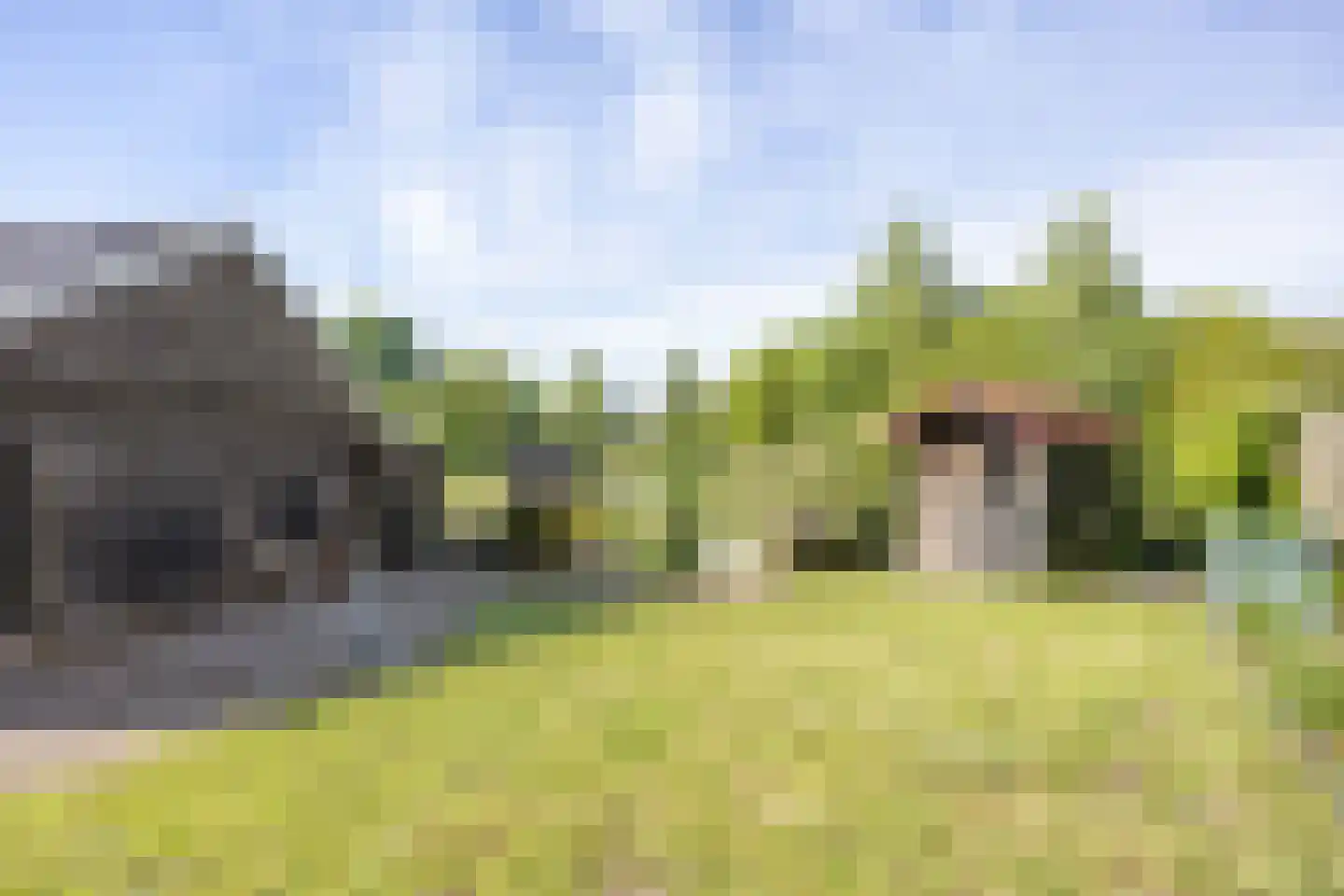 de Akkers 3 Kommerzijl foto 3