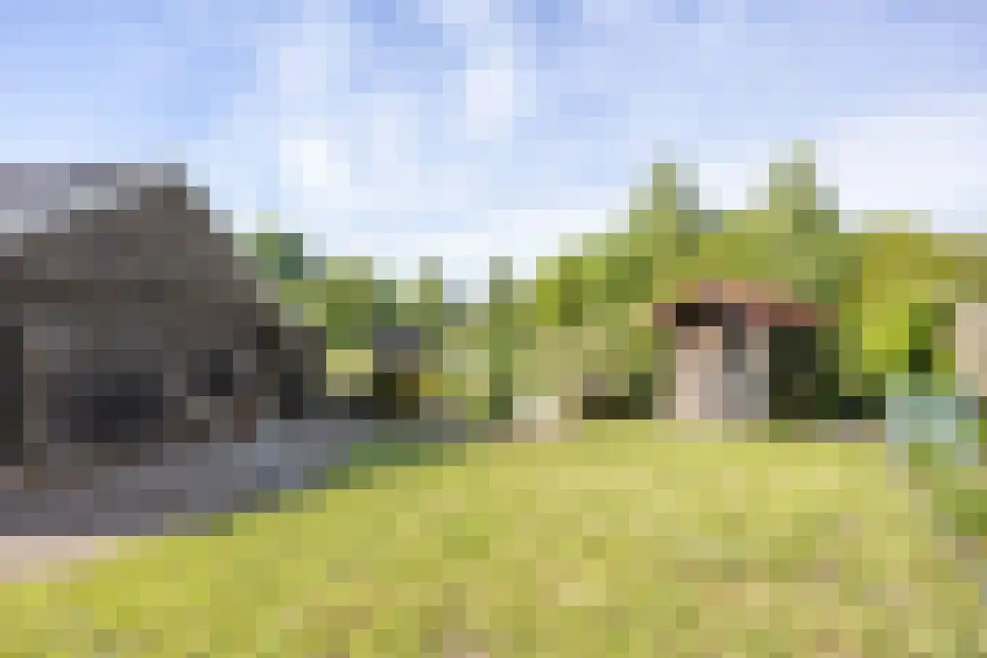 de Akkers 3 Kommerzijl thumbnail 31