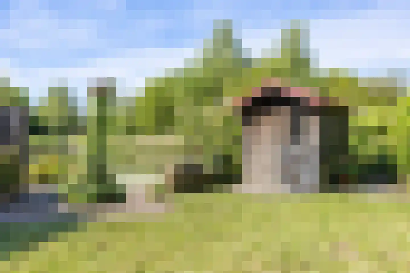 de Akkers 3 Kommerzijl thumbnail 32