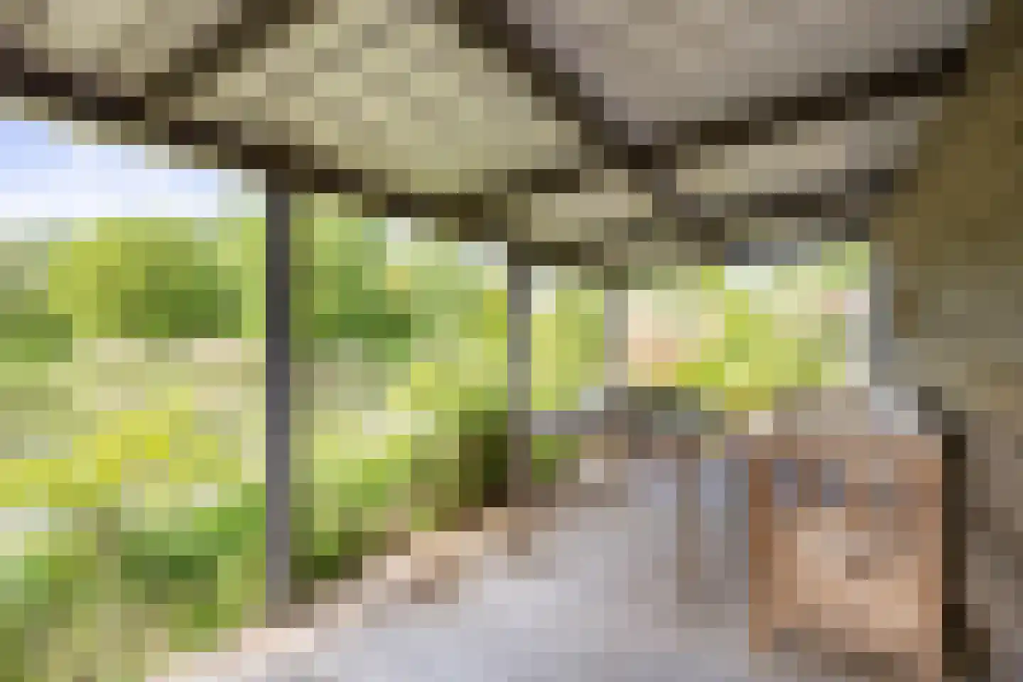 de Akkers 3 Kommerzijl thumbnail 38