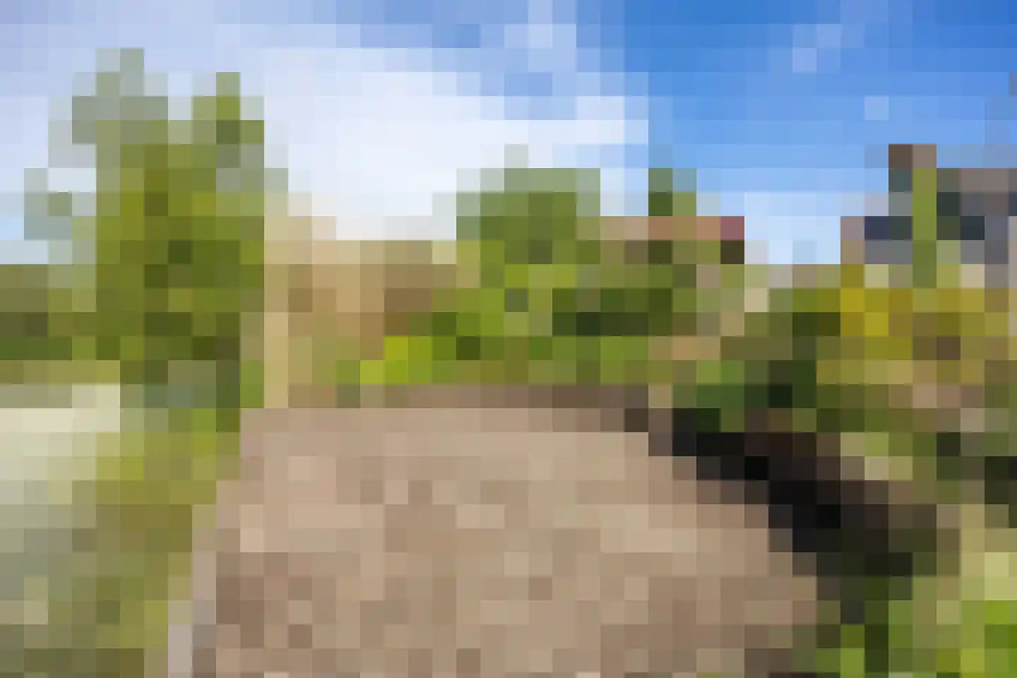 de Akkers 3 Kommerzijl thumbnail 39