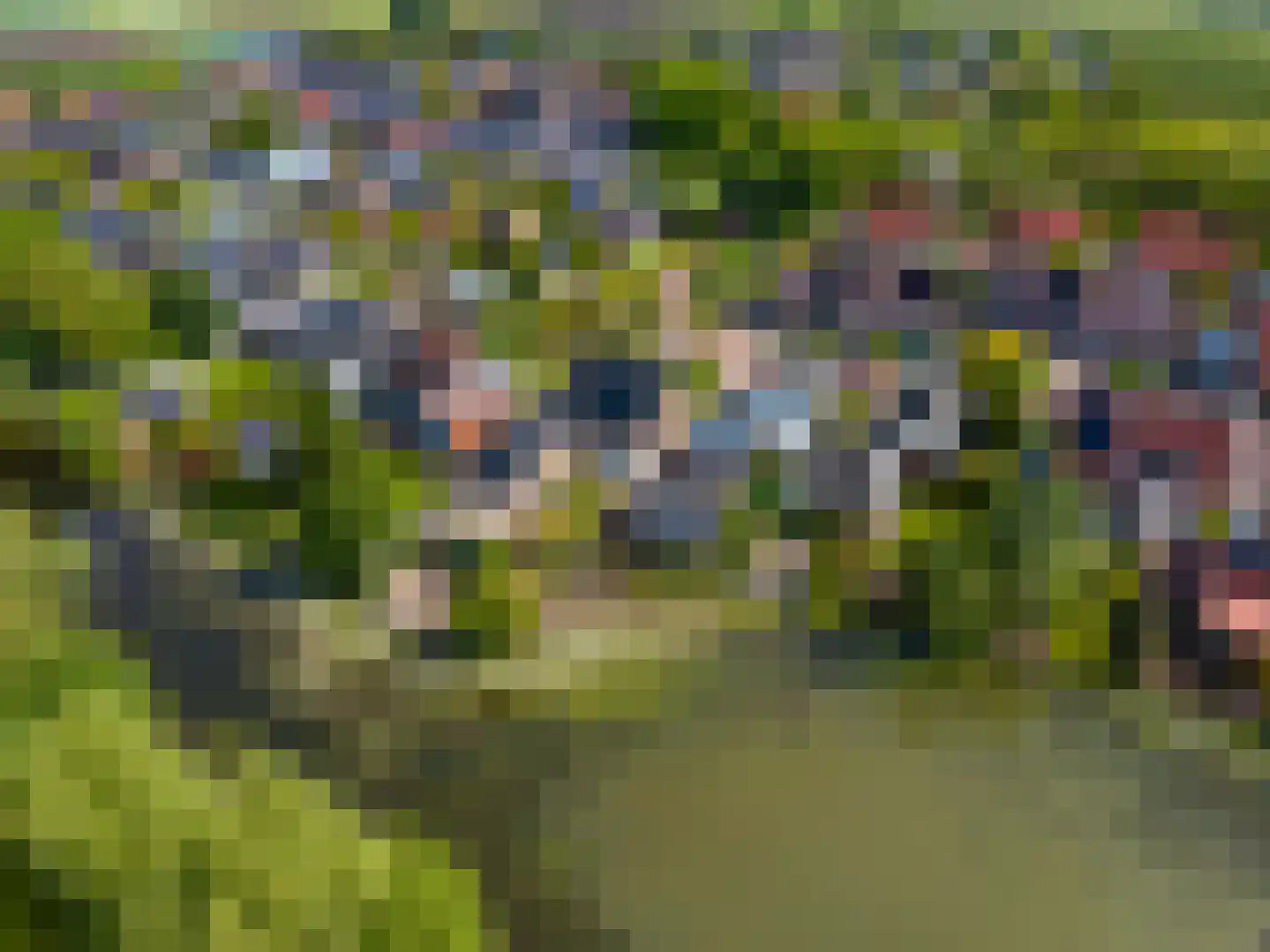 de Akkers 3 Kommerzijl thumbnail 42
