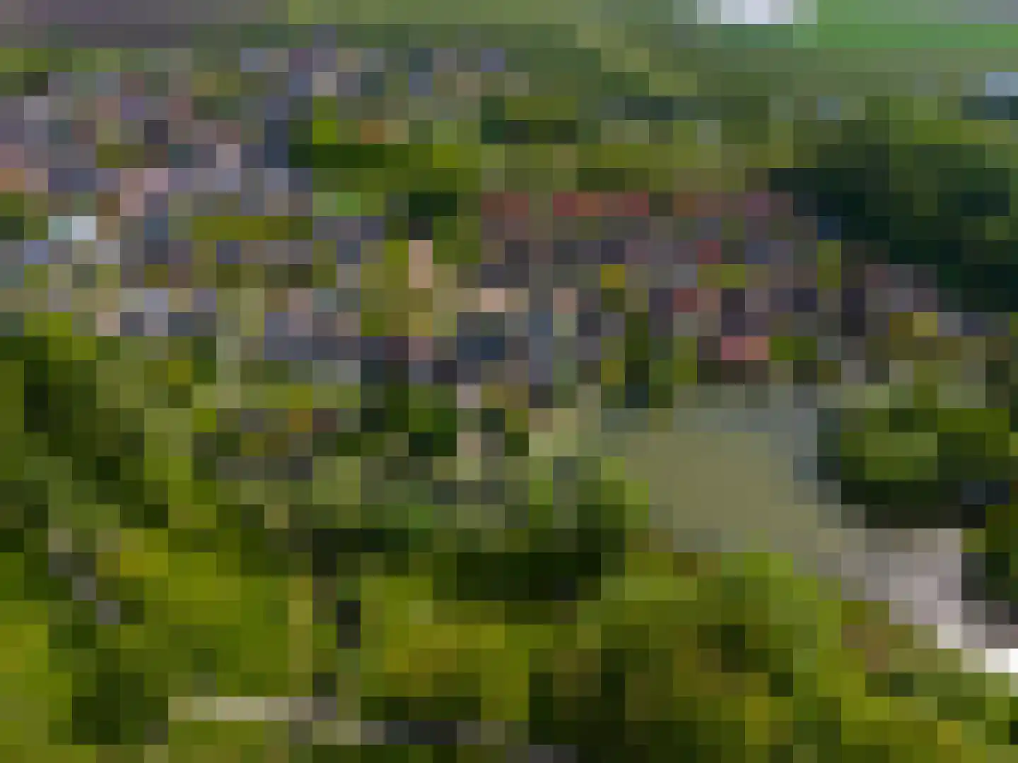 de Akkers 3 Kommerzijl thumbnail 43