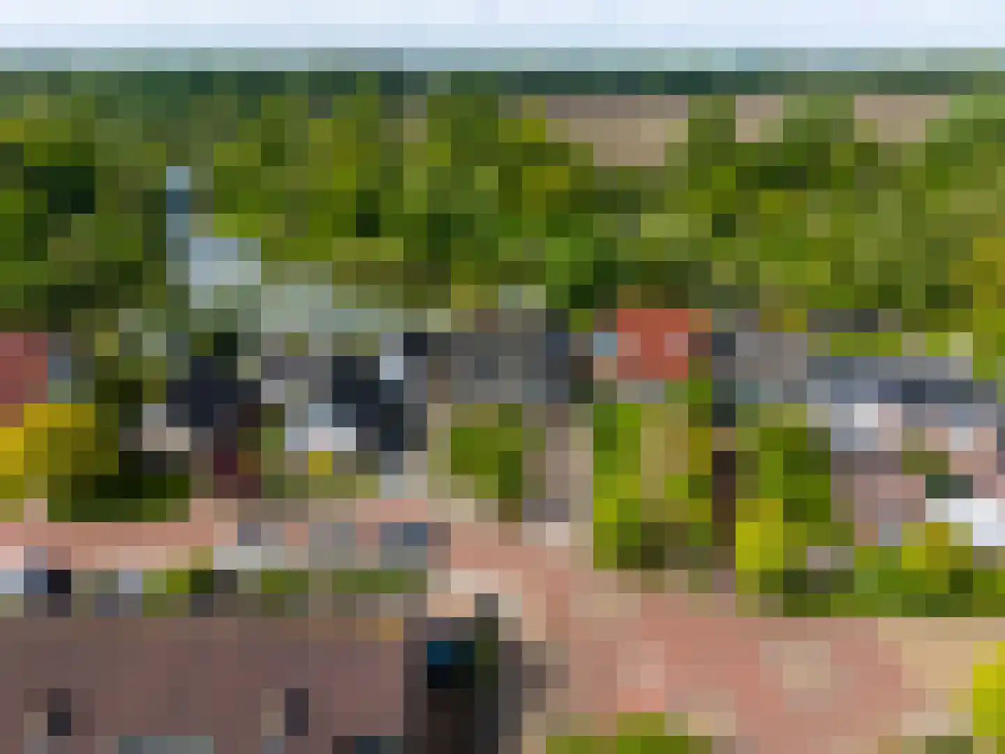 de Akkers 3 Kommerzijl thumbnail 48