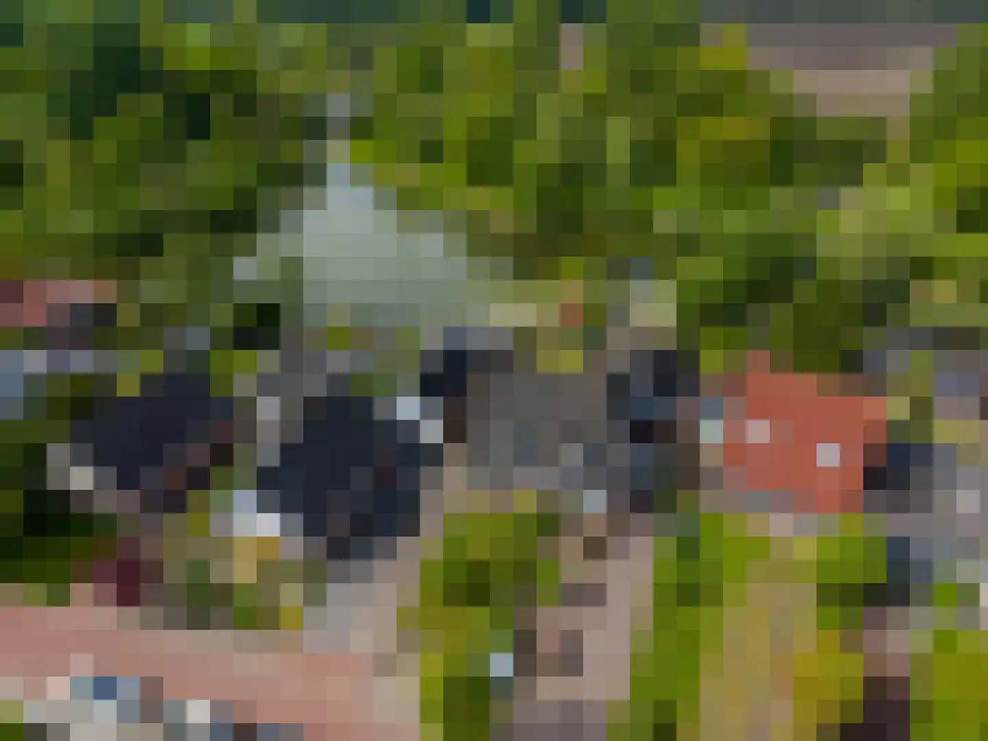 de Akkers 3 Kommerzijl thumbnail 50