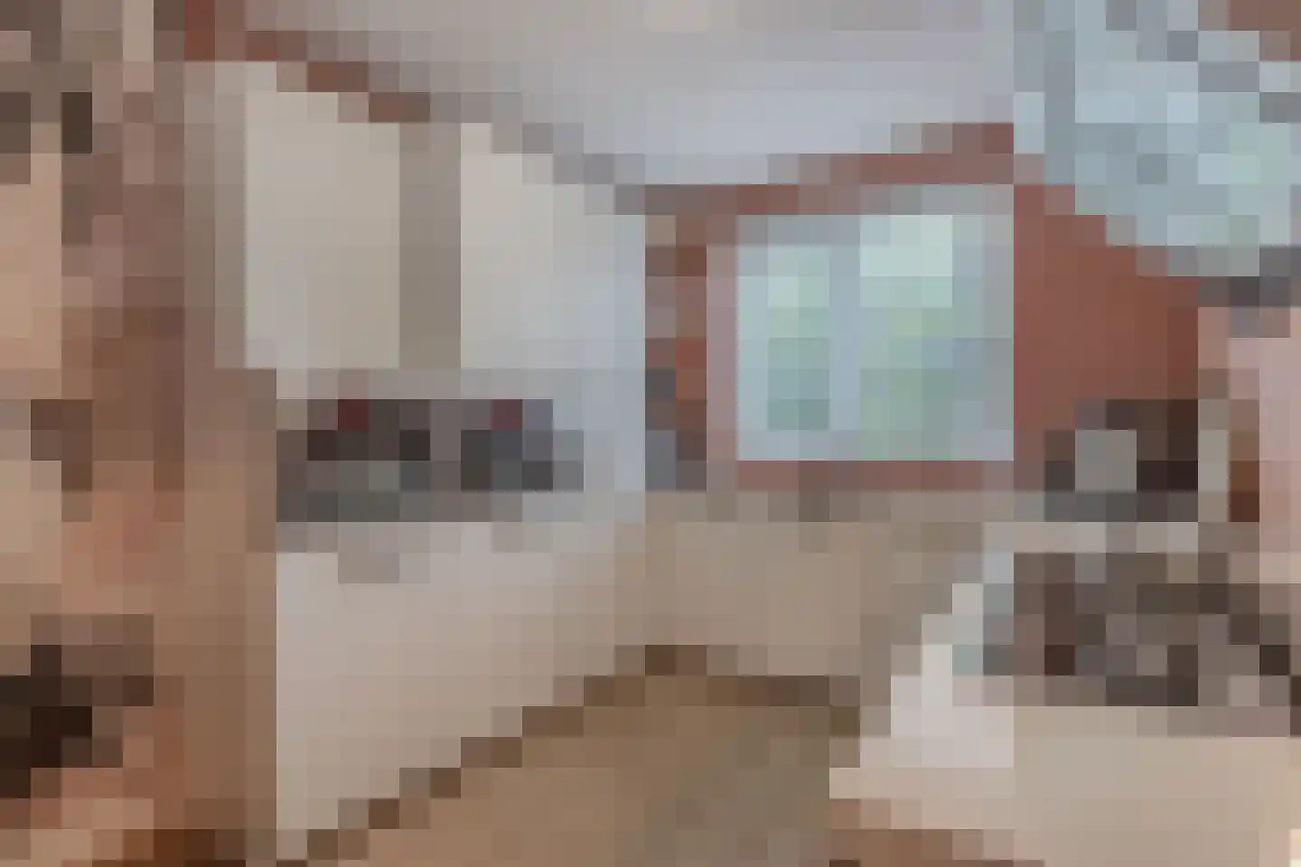 De Akkers 34 Drachten thumbnail 22