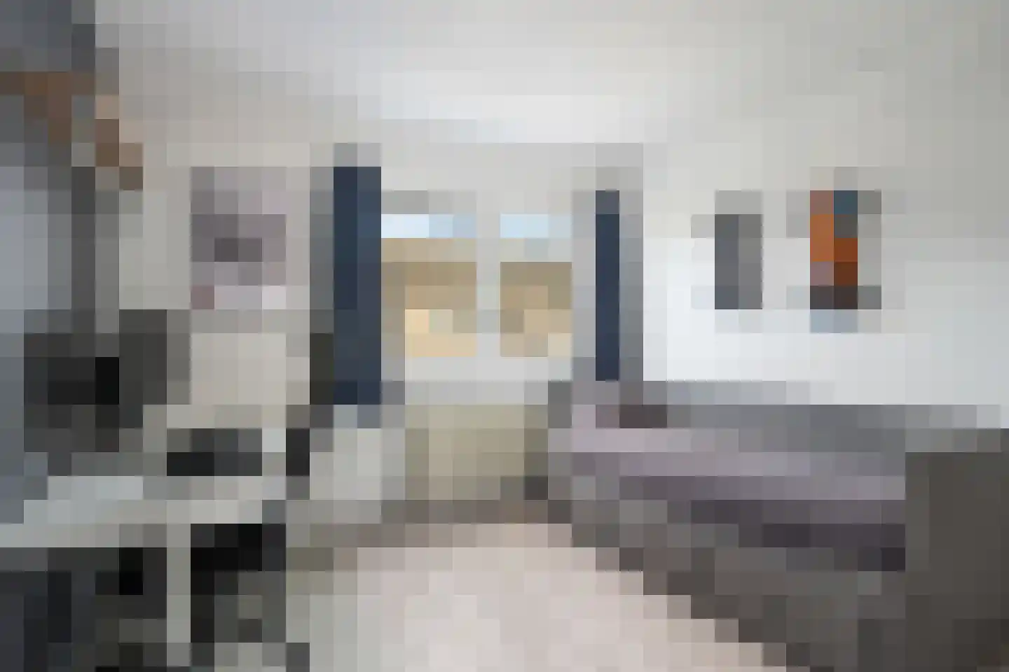 De Akkers 38 Schiedam thumbnail 16