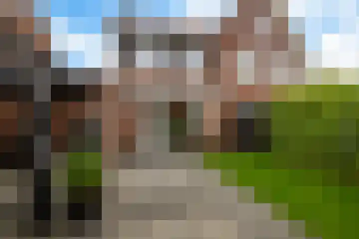 De Akkers 42 Drachten thumbnail 39
