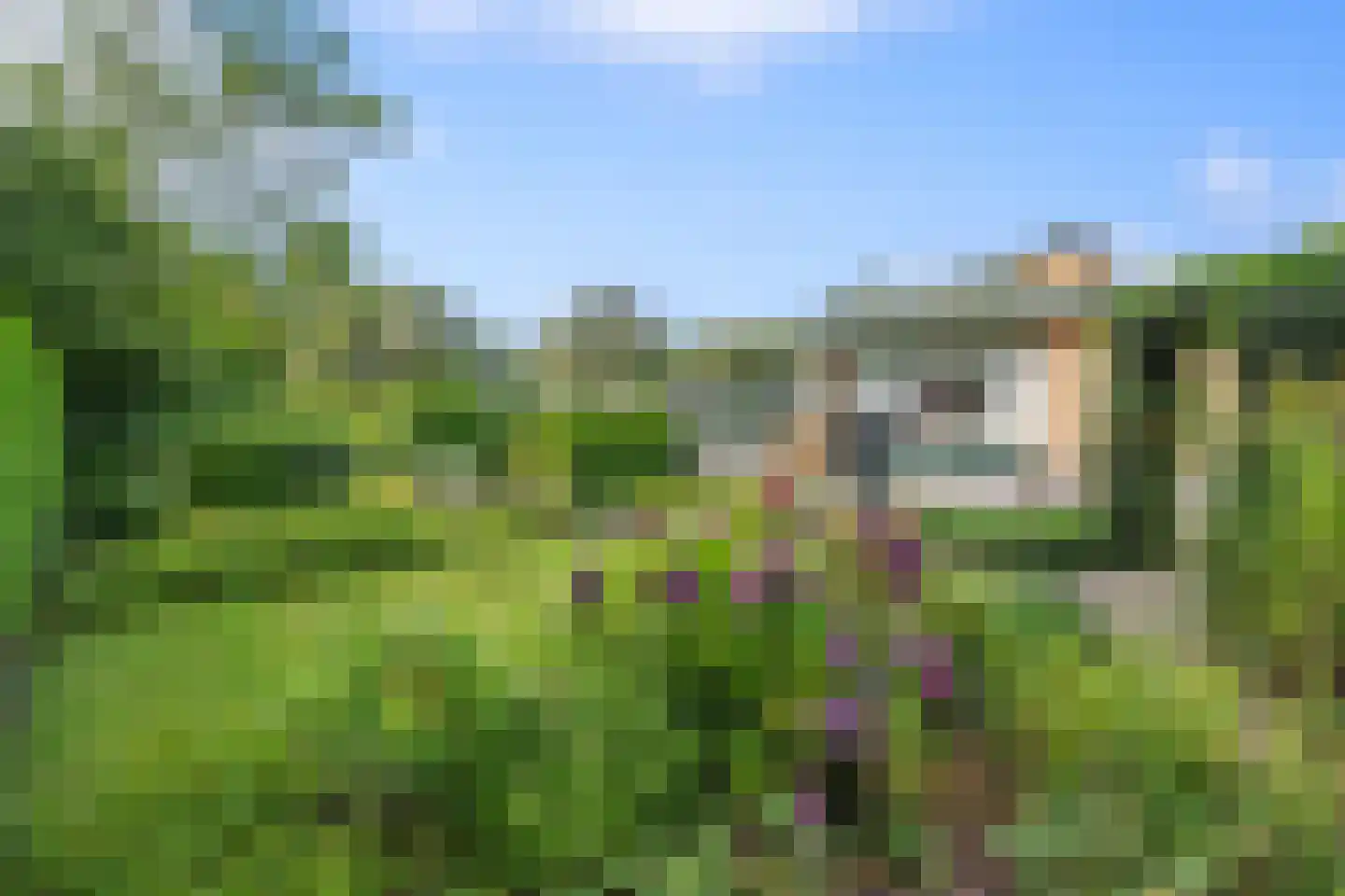 De Akkers 45 Muntendam thumbnail 4