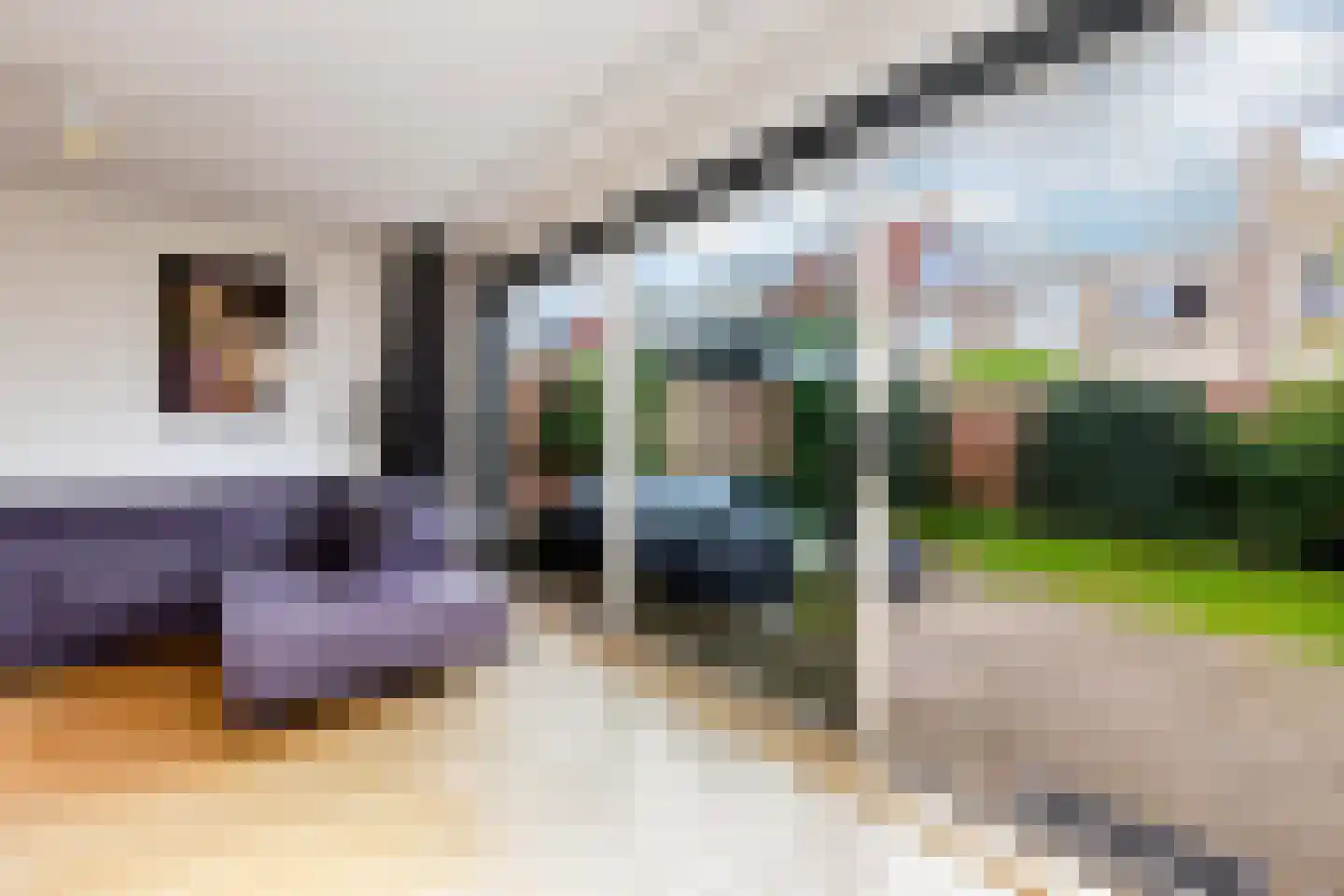 De Akkers 52 Schiedam thumbnail 21