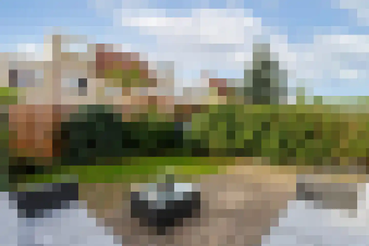De Akkers 52 Schiedam thumbnail 26