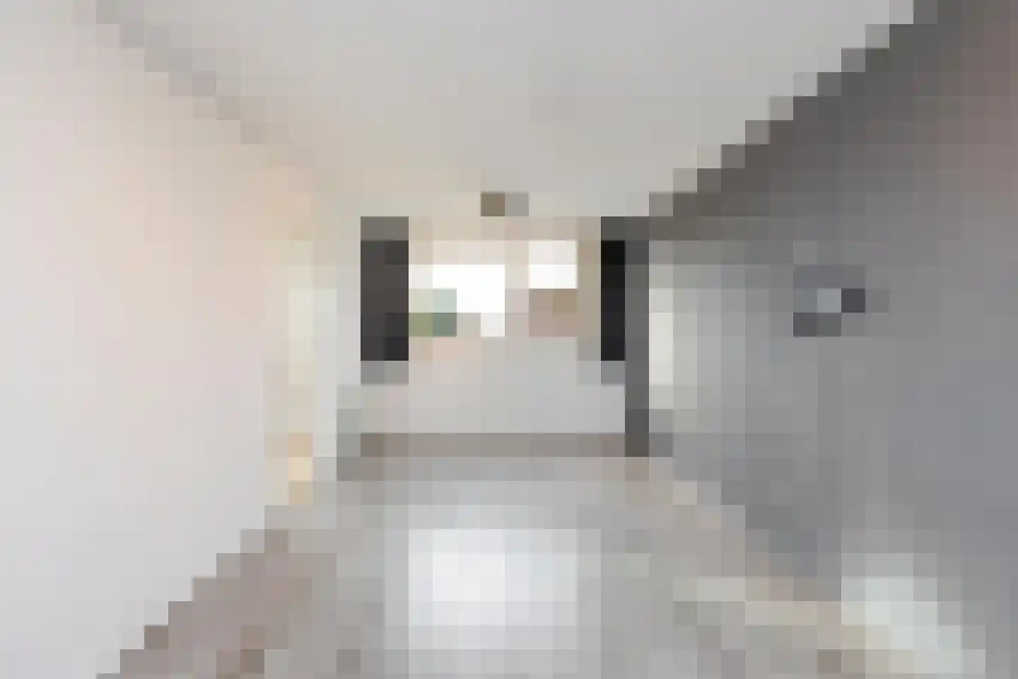 De Akkers 52 Schiedam thumbnail 47