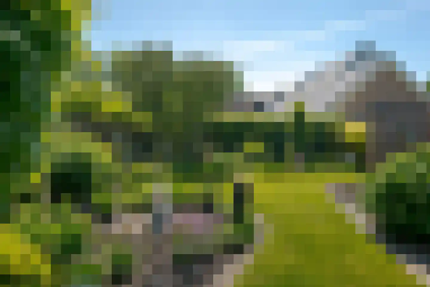 De Akkers 56 Westerbork thumbnail 39