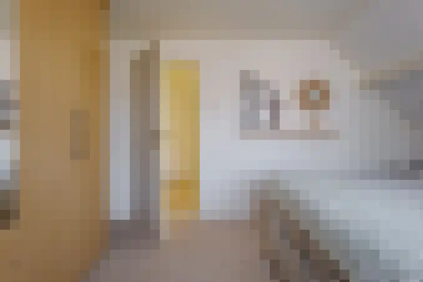 De Akkers 56 Westerbork thumbnail 53